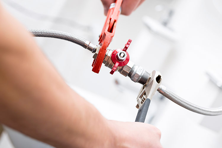 Jilly Plumbing 106868500